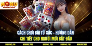 Cách Chơi Bài Tứ Sắc - Hướng Dẫn Chi Tiết Cho Người Mới Bắt Đầu