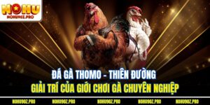 Đá Gà Thomo – Thiên Đường Giải Trí Của Giới Chơi Gà Chuyên Nghiệp