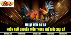 Thuật Ngữ Đá Gà – Ngôn Ngữ Chuyên Môn Trong Thế Giới Chọi Gà